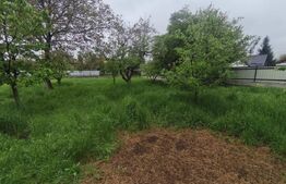 Casa + teren 1767 mp, zona Horea, Radauti