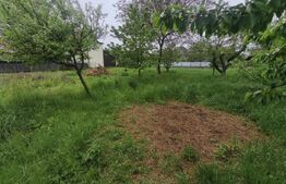 Casa + teren 1767 mp, zona Horea, Radauti