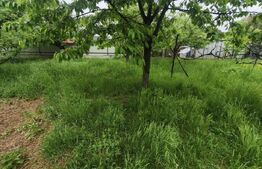 Casa + teren 1767 mp, zona Horea, Radauti