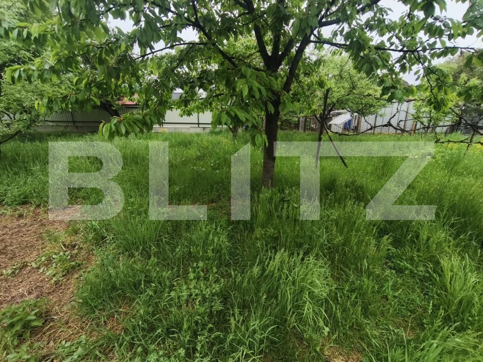 Casa de vânzare 4 camere Radauti - 169755CV | BLITZ Suceava | Poza10