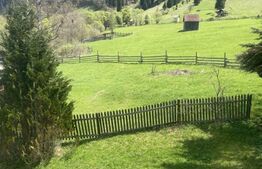 Casă de vanzare, cu 4 camere, 184 mp, in zona Dorna Arini, loc. Rusca 