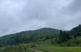 Teren intravilan 20.000 mp, zona Soarecului, Marginea