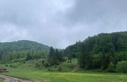 Teren intravilan 20.000 mp, zona Soarecului, Marginea