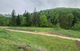 Teren de vânzare Periferie - 169548TV | BLITZ Suceava | Poza3