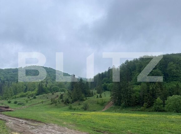 Teren de vânzare Marginea - 169933TV | BLITZ Suceava | Poza3