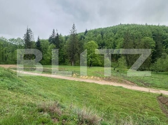 Teren de vânzare Marginea - 169933TV | BLITZ Suceava | Poza3