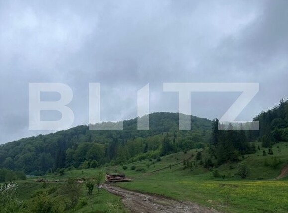 Teren de vânzare Marginea - 169933TV | BLITZ Suceava | Poza2