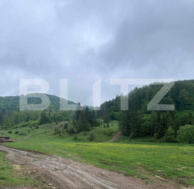 Teren de vânzare Marginea - 169933TV | BLITZ Suceava | Poza2