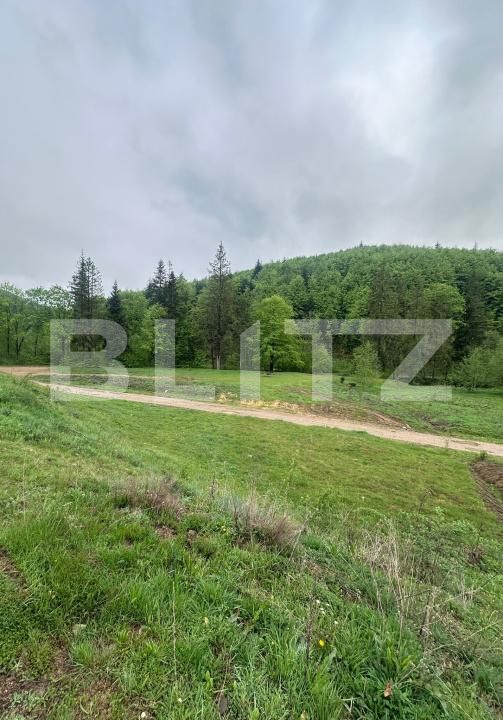 Teren de vânzare Marginea - 169933TV | BLITZ Suceava | Poza3
