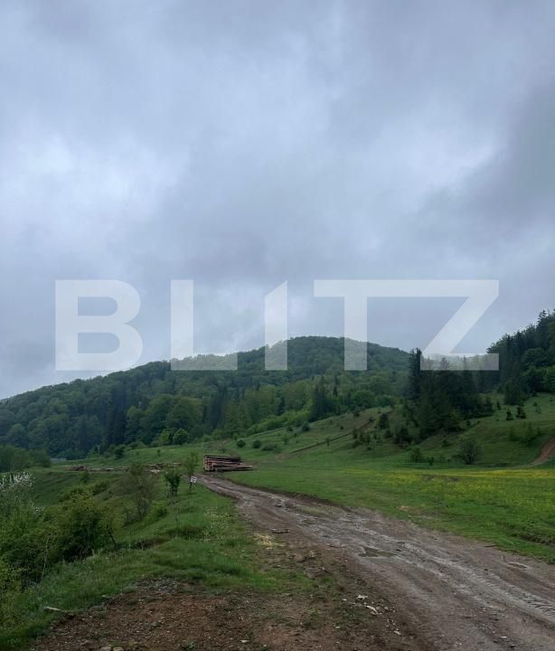 Teren de vânzare Marginea - 169933TV | BLITZ Suceava | Poza2