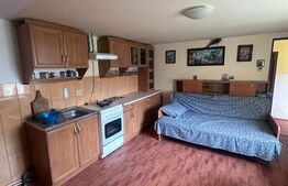 Casa + teren 4527 mp, zona buna, Marginea