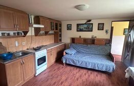 Casa + teren 4527 mp, zona buna, Marginea