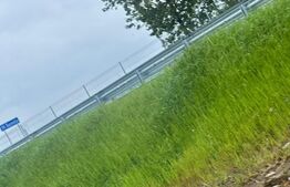 Casa + teren 4527 mp, zona buna, Marginea