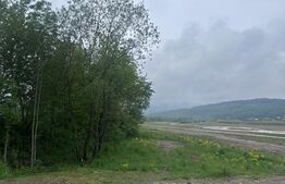 Casa + teren 4527 mp, zona buna, Marginea