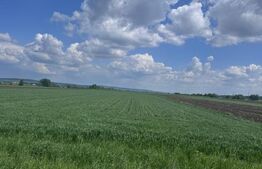 Teren extravilan, 1 hectar, Volovat