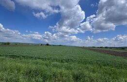 Teren extravilan, 1 hectar, Volovat