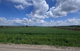 Teren de vânzare Periferie - 185857TV | BLITZ Suceava | Poza5