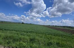 Teren extravilan, 1 hectar, Volovat