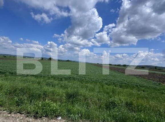 Teren de vânzare Radauti - 170076TV | BLITZ Suceava | Poza3