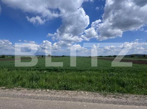 Teren de vânzare Radauti - 170076TV | BLITZ Suceava | Poza1