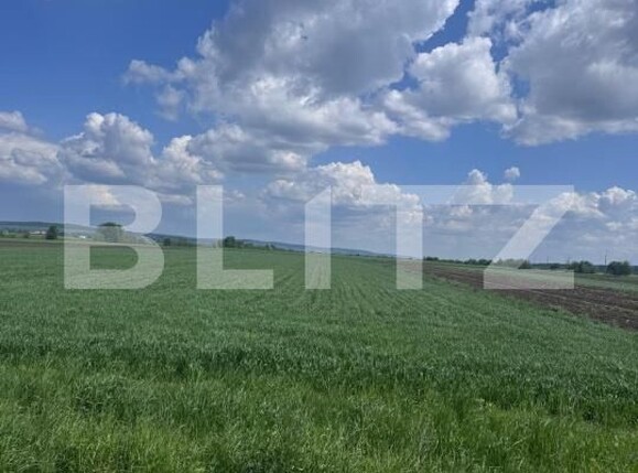 Teren de vânzare Radauti - 170076TV | BLITZ Suceava | Poza4