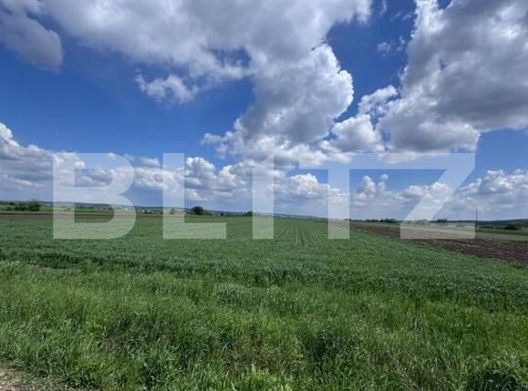 Teren de vânzare Radauti - 170076TV | BLITZ Suceava | Poza2