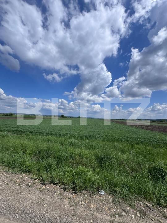 Teren de vânzare Radauti - 170076TV | BLITZ Suceava | Poza2