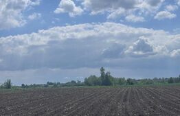 Teren extravilan, 7800mp, Burla