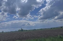 Teren de vânzare Fratautii Vechi - 180380TV | BLITZ Suceava | Poza5