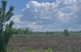 Teren extravilan, 7800mp, Burla