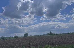 Teren extravilan, 7800mp, Burla