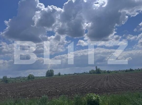 Teren de vânzare Radauti - 170078TV | BLITZ Suceava | Poza3