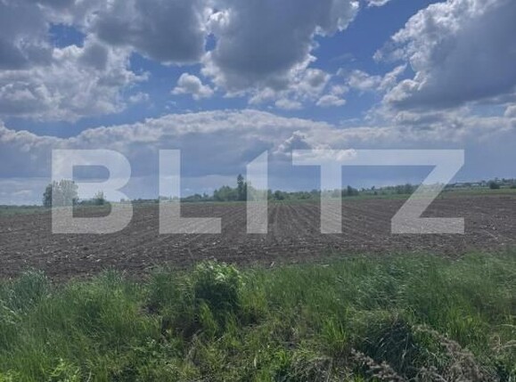 Teren de vânzare Radauti - 170078TV | BLITZ Suceava | Poza4