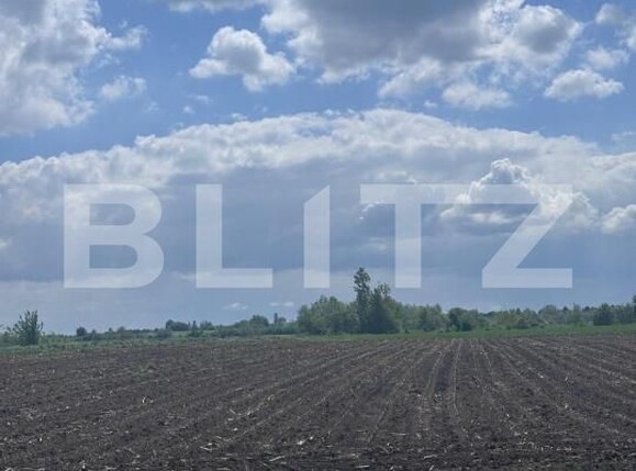 Teren de vânzare Radauti - 170078TV | BLITZ Suceava | Poza5