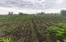 2 Case + 1600 mp Teren, zona centrala Balinesti, Siret