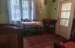 2 Case + 1600 mp Teren, zona centrala Balinesti, Siret