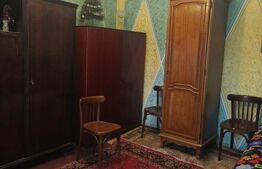 2 Case + 1600 mp Teren, zona centrala Balinesti, Siret