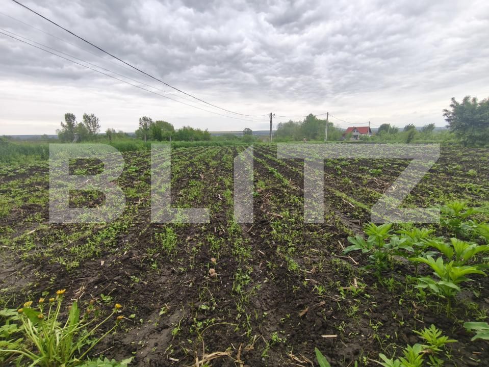 Casa de vânzare 2 camere Gramesti - 170189CV | BLITZ Suceava | Poza8