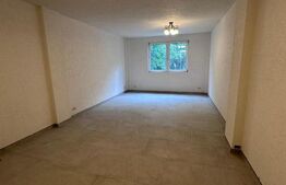 Spatiu birou central, 90mp, Radauti