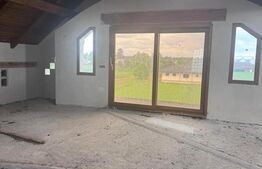 Casa la rosu, teren 1675mp, Fratautii Vechi