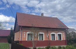 Casa si teren 4300mp, Horodnic de Jos