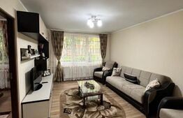 Apartament 3 camere,  Parter, zona Centrala, Radauti