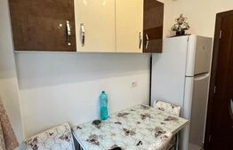 Apartament 3 camere,  Parter, zona Centrala, Radauti