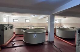 Pensiune/Ferma pescicola la cheie, teren 4000 mp, zona Molid – 0% comision