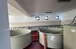 Pensiune/Ferma pescicola la cheie, teren 4000 mp, zona Molid – 0% comision