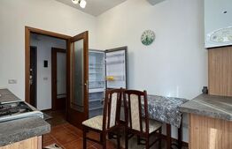 Microapartament de inchiriat, cu 1 camera, 45mp,  zona Centrala