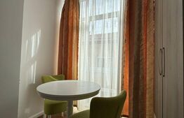 Microapartament de inchiriat, cu 1 camera, 45mp,  zona Centrala