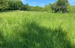 Casa si teren de vanzare, 2000 mp, zona Dragoiesti