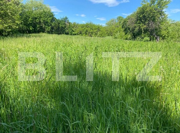 Casa de vânzare 4 camere Vest - 171032CV | BLITZ Suceava | Poza7