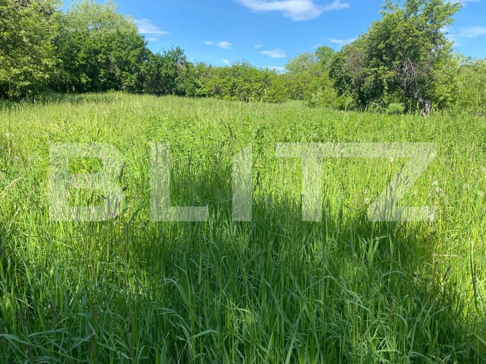 Casa de vânzare 4 camere Vest - 171032CV | BLITZ Suceava | Poza7